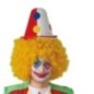 Nariz de pato