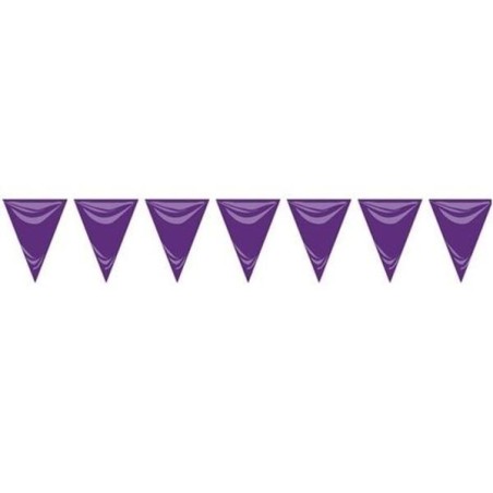Bandera-triangular-morada-de-plastico-25-metros-de-20x30-cm-8422935601626-60162
