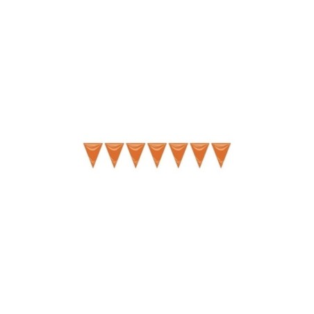 Bandera-triangular-naranja-de-plastico-25-metros-de-20x30-cm-8422935601664-60166
