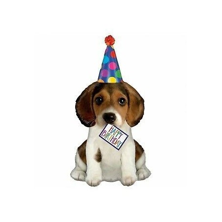 Globo-perro-cumpleanos-perrito-104-cm-30625355612-35561