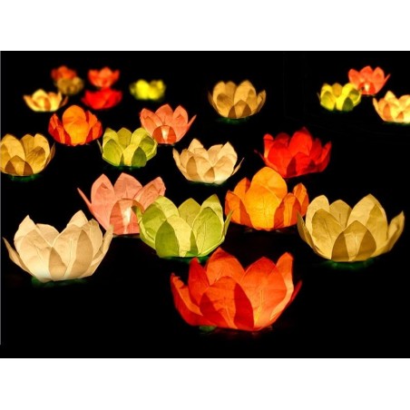 Linternas-flotantes-flores-con-luz-unidad-5901157441850-LAMPW