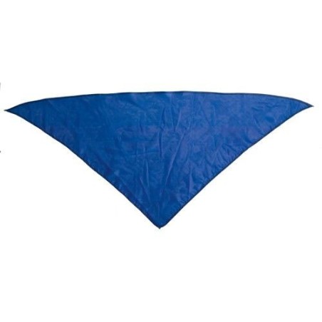 Panoleta-fiestas-barata-plus-o-fajin-colores-8435525834557-4H-FCIK-PXBF