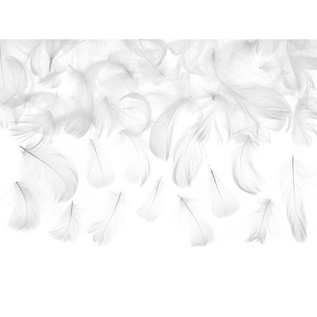 Plumas-blancas-para-dec decoraciones-3-gr-de-5-8-cm-5901157468987-PD1-008