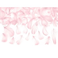 Plumas-rosas-para-dec decoraciones-3-gr-de-5-8-cm-5901157481948-PD1-081J