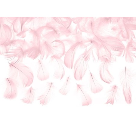 Plumas-rosas-para-dec decoraciones-3-gr-de-5-8-cm-5901157481948-PD1-081J