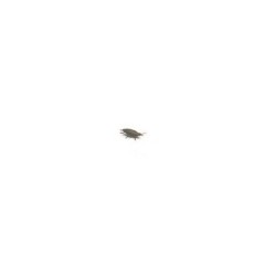 Cucaracha-con-clavo-para-bromas-843582715139-75