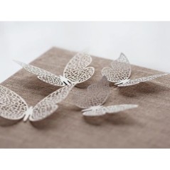 Mariposas-6