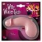 Pistola de agua pene willy despedidas