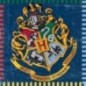 Servilletas harry potter para cumpleaños 16 uds
