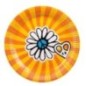 Platos hippies años 60 6 uds 23 cm