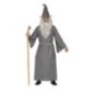 disfraz mago gris talla l 52 54 hombre
