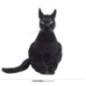 Gato negro halloween 35 cm en latex