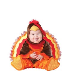 Disfraz pavo real de 6 a 24 meses 843269017392 6030FU