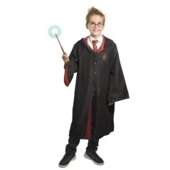 Disfraz Harry Potter deluxe infantil con gafas 8026196977218 800032 T02