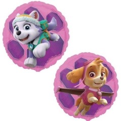 Globo helio skye y everest patrulla canina 18 45 cm 26635340885 3408801