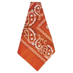 Pañuelo vaquero naranja-Tus Disfraces baratos