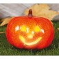 Calabaza para halloween con luz 16 cm sonriente