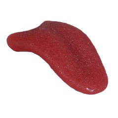 Lengua de latex 6 cm broma-Bromas baratas online
