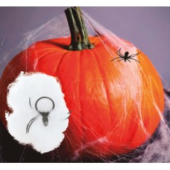 Tela de araña bolsa 1 gr con araña-Tus Disfraces baratos