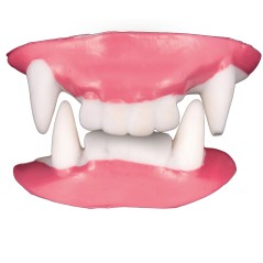 Dientes vampiro o dracula dobles-Tus Disfraces