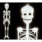 Esqueleto fluorescente 75 cm plastico