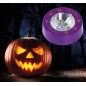 Luz multicolor para meter dentro de calabazas