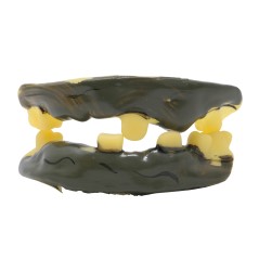 Dentadura doble bruja dientes-Tus Disfraces