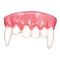 Dientes vampiro colmillos baratos 2190