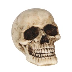 Calavera o craneo humano 8 cm de resina-Tus Disfraces baratos