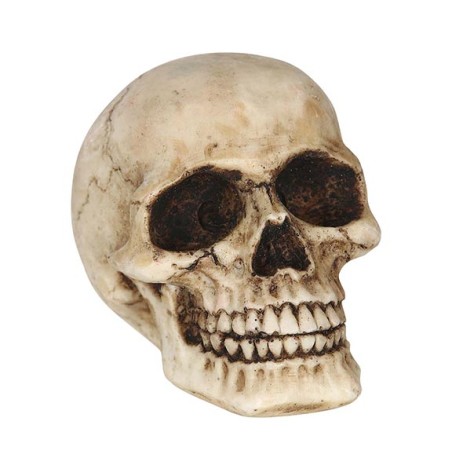 Calavera o craneo humano 8 cm de resina-Tus Disfraces baratos