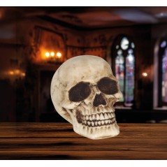 Calavera o craneo humano 8 cm de resina