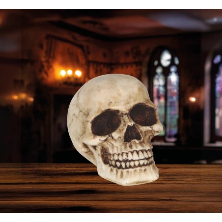 Calavera o craneo humano 8 cm de resina