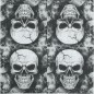 Servilletas calaveras 20 uds 16x16 cm