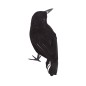 Cuervo negro de 23 cm para decoracion halloween
