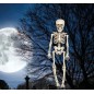 Esqueleto 40 cms halloween
