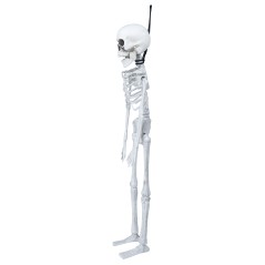 Esqueleto 40 cms halloween-Tus Disfraces baratos