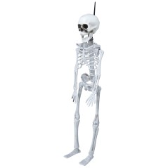 Esqueleto 40 cms halloween-Tus Disfraces baratos
