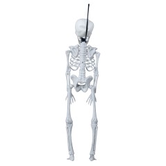 Esqueleto 40 cms halloween-Tus Disfraces baratos