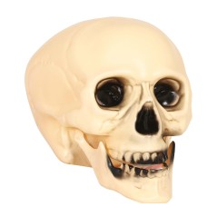 Calavera 20 cm craneo decoracion halloween-Tus Disfraces baratos