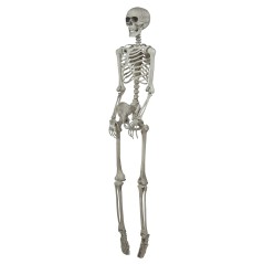 Esqueleto 160 cms halloween-Tus Disfraces baratos