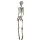 Esqueleto 160 cms halloween