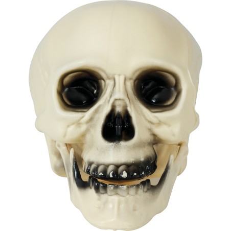 Calavera 20 cm craneo decoracion halloween
