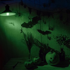 Bombilla verde 5 w para decoracion halloween-Tus disfraces Halloween
