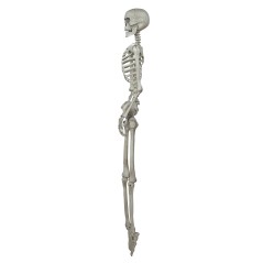 Esqueleto 160 cms halloween-Tus Disfraces baratos