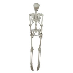 Esqueleto 160 cms halloween-Tus Disfraces baratos