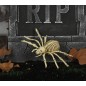 Araña esqueleto de 24 cm para halloween
