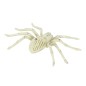 Araña esqueleto de 24 cm para halloween