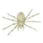 Araña esqueleto de 24 cm para halloween