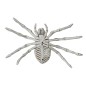 Araña esqueleto de 24 cm para halloween