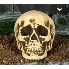 Calavera 22 cm craneo Foam decoracion halloween-Tus Disfraces baratos